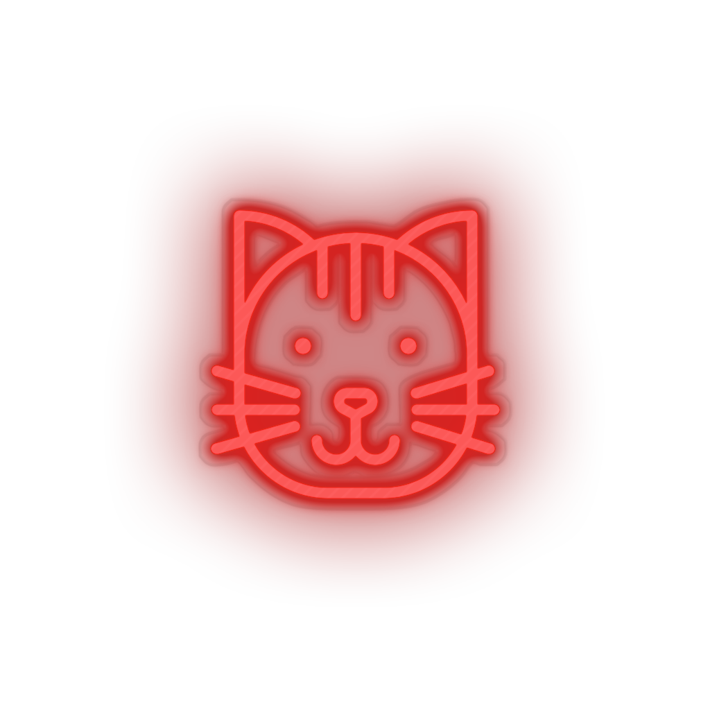 Cat Animal carnivore cartoon cat house pet pet zoo Neon led factory